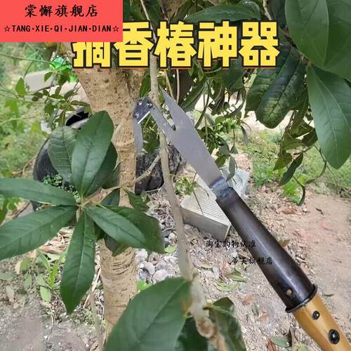 香椿钩子榆钱槐花多功能采摘工具荔枝龙眼弯钩高空采摘铁钩子长杆