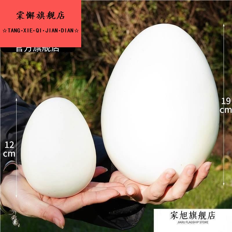 仿真鸡蛋鹅蛋鸭蛋鸵鸟蛋恐龙蛋鹌鹑蛋巨蛋假鸡蛋模型橱窗摄影道具