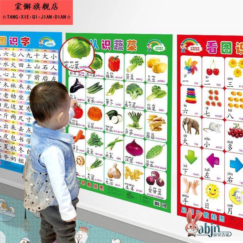 早教识字认知挂图儿童宝宝幼0-3岁拼音无声启蒙识字无声卡片