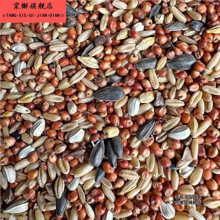 饲料10斤装无玉米无豌豆鸽子幼鸽粮赛飞饲料鸟食信鸽观赏鸽鸽子食