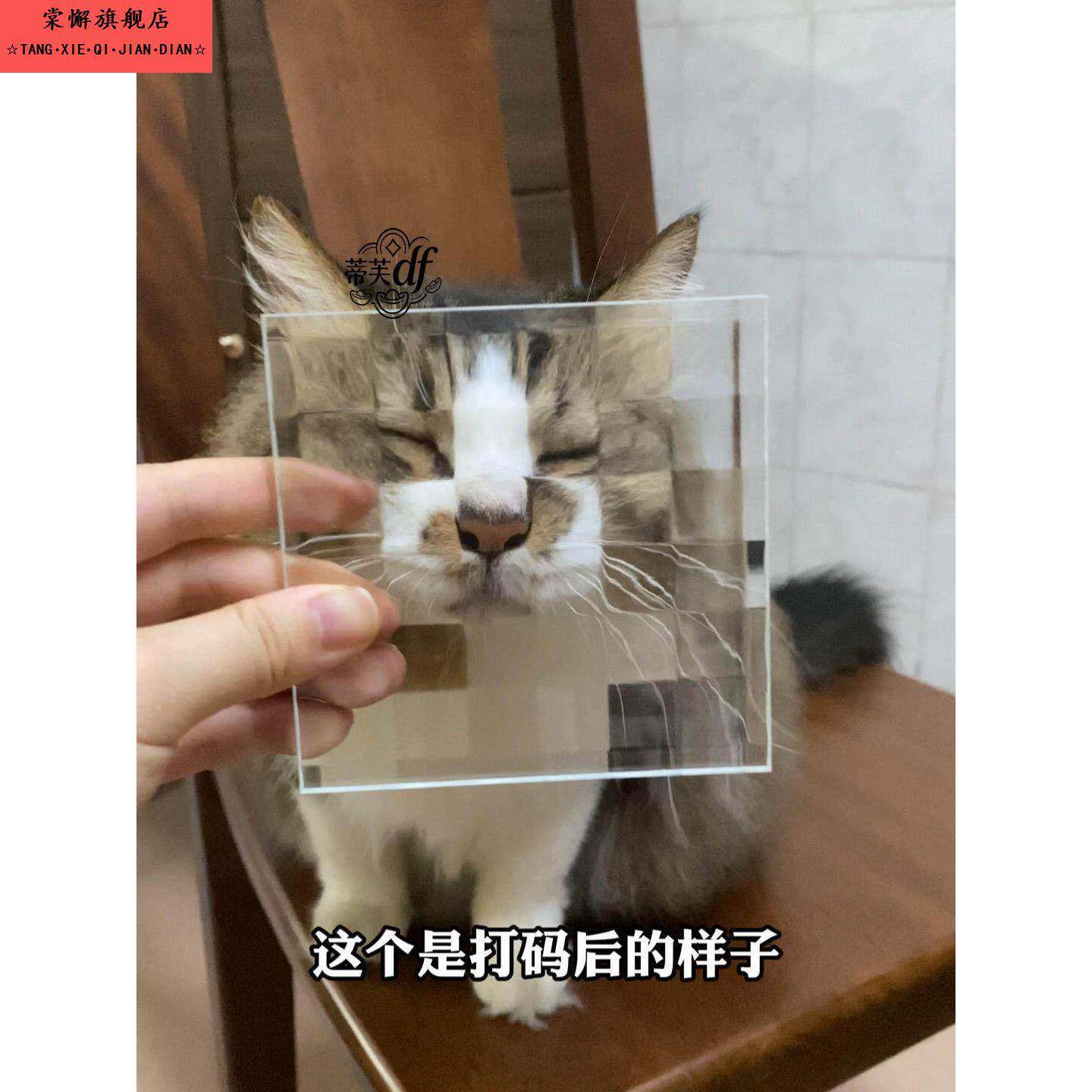 马赛克双方格宠物猫咪狗狗搞怪创意拍照摄影像道具立体压花艺术