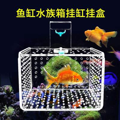 鱼缸隔离盒保护小鱼悬浮式亚克力水族饲养箱大小号孔雀斗鱼苗孵化