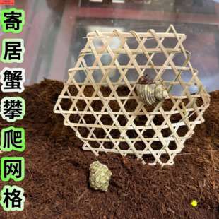 寄居蟹攀爬网格竹编天然攀爬架可裁剪爬梯隔板分离板爬网造景装饰