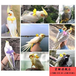 鹦鹉放飞绳超轻专用玄凤小太阳小背带外出背心鸟用遛鸟神器飞行绳