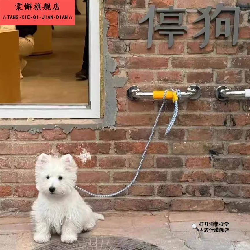 墙栓把手栓狗停狗位狗狗安全停泊狗位宠物停车位休息牵引绳挂绳处