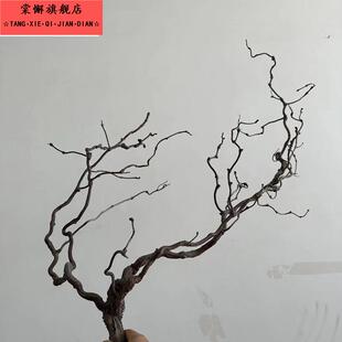 鹿角树枝树干树杈幼儿园环创假树枯枝造景摆件造型枯木仿真树diy
