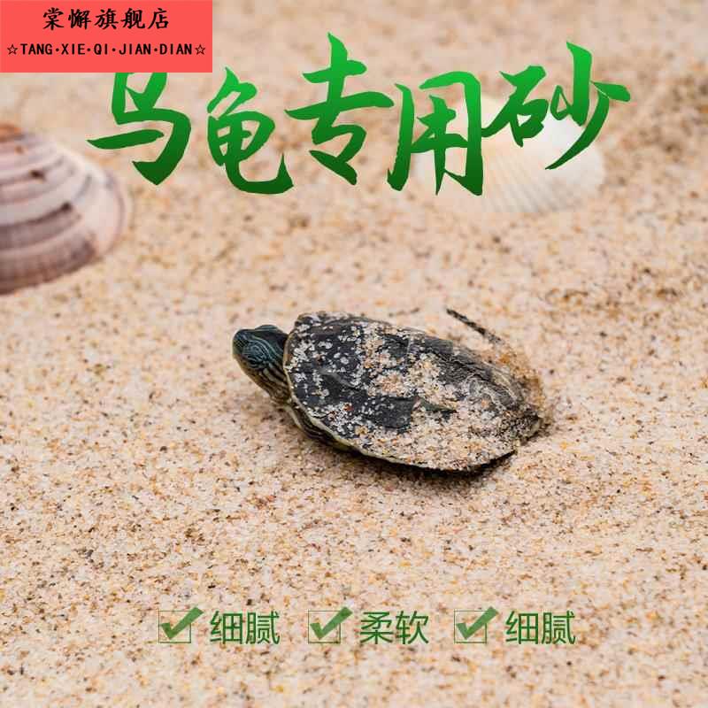 海沙天然细沙儿童玩具沙滩沙子鱼缸造景细沙子天然沙乌龟专用冬眠