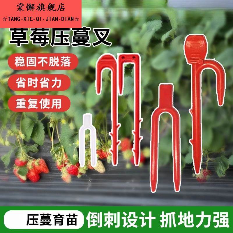 大棚草莓压蔓器藤蔓固定压苗塑料叉子西瓜育秧苗植物爬藤绑枝卡扣