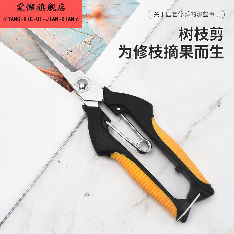 葡萄采果稀果剪苗圃花卉园艺剪修枝剪柑橘子园林蔬果采摘摘果剪刀