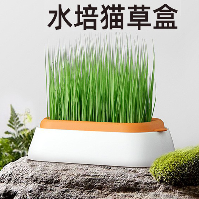 新款宠物用品水培猫草盒 化毛猫零食 猫薄荷水培无土种植猫草盆