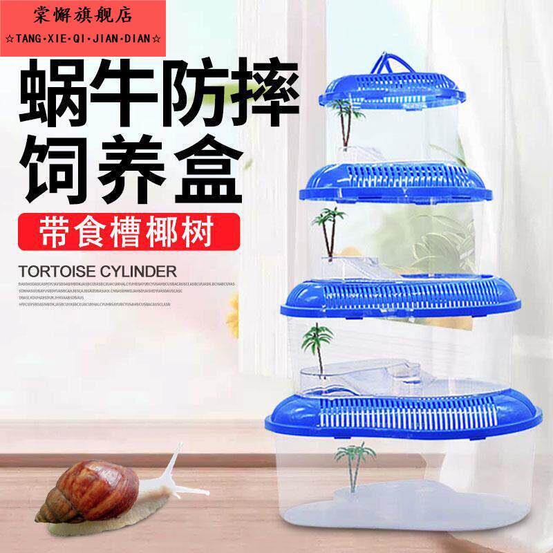 白玉蜗牛生态缸小屋饲养盒乌龟箱宠物房子窝甲虫养的家盒子箱别墅