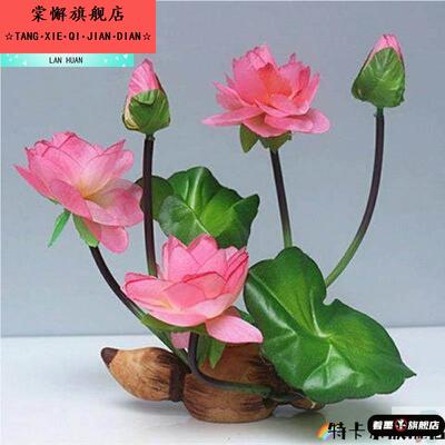 鱼缸里面的装饰品仿真水草荷花莲子造景居家摆设塑料假荷花莲花