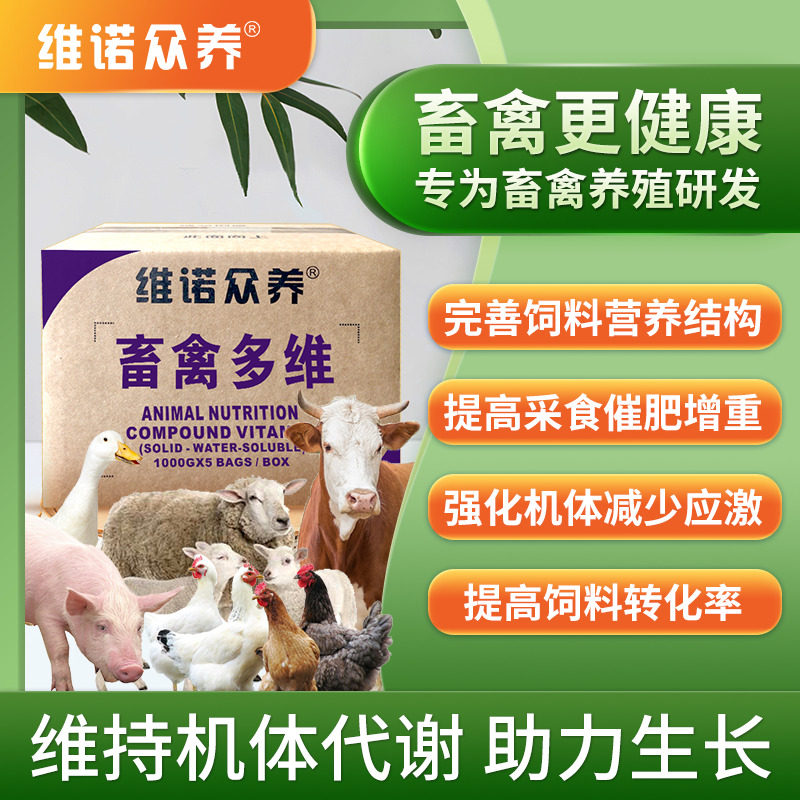畜禽水产动物电解多维兽用维生素预混料猪鸡牛羊鱼虾饲料添加剂