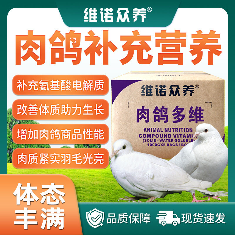 鸽用肉鸽多维电解质水溶复合维生素饲料添加剂补营养减少应激长肉