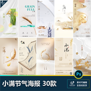 小满二十四24节气海报设计小麦收获耕种企业推广插画psd素材模板