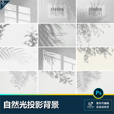 自然光影逼真模糊墙壁植物枝叶窗子叠加投影光影光线PSD背景素材