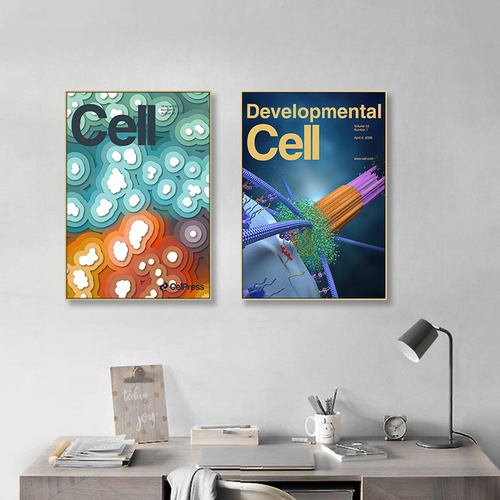 微生物细胞挂画生物研究所医疗机构装饰画医学院科学实验室壁画