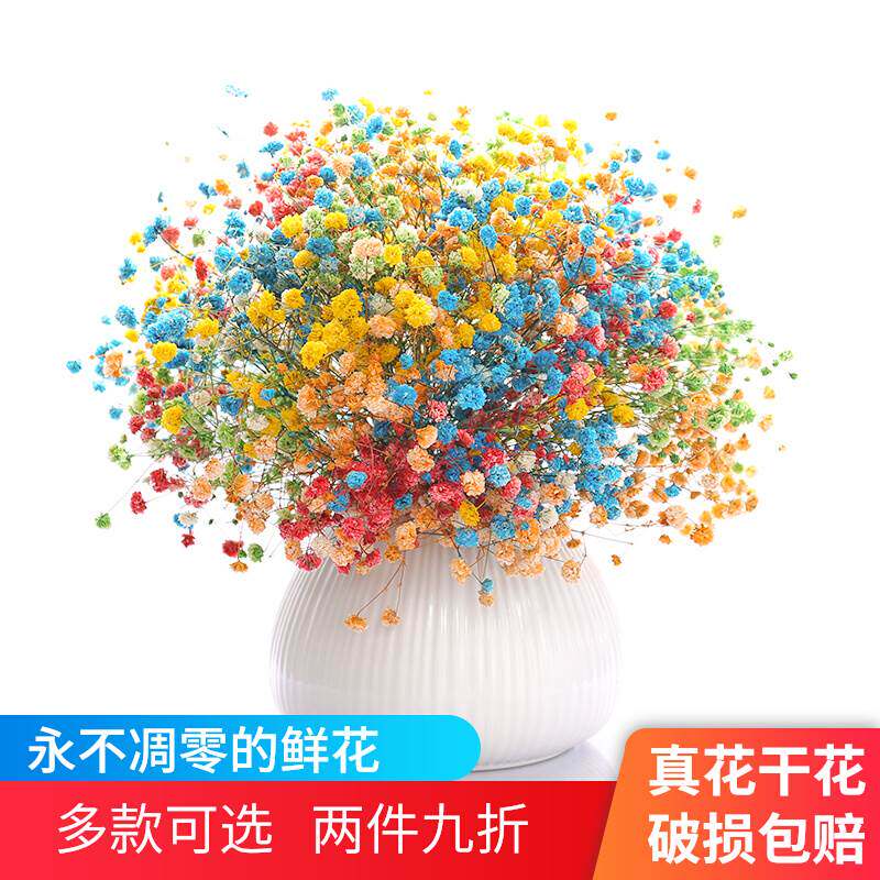 满天星干花花束装饰摆件家居客厅卧室摆设大束自然风干含花瓶包邮