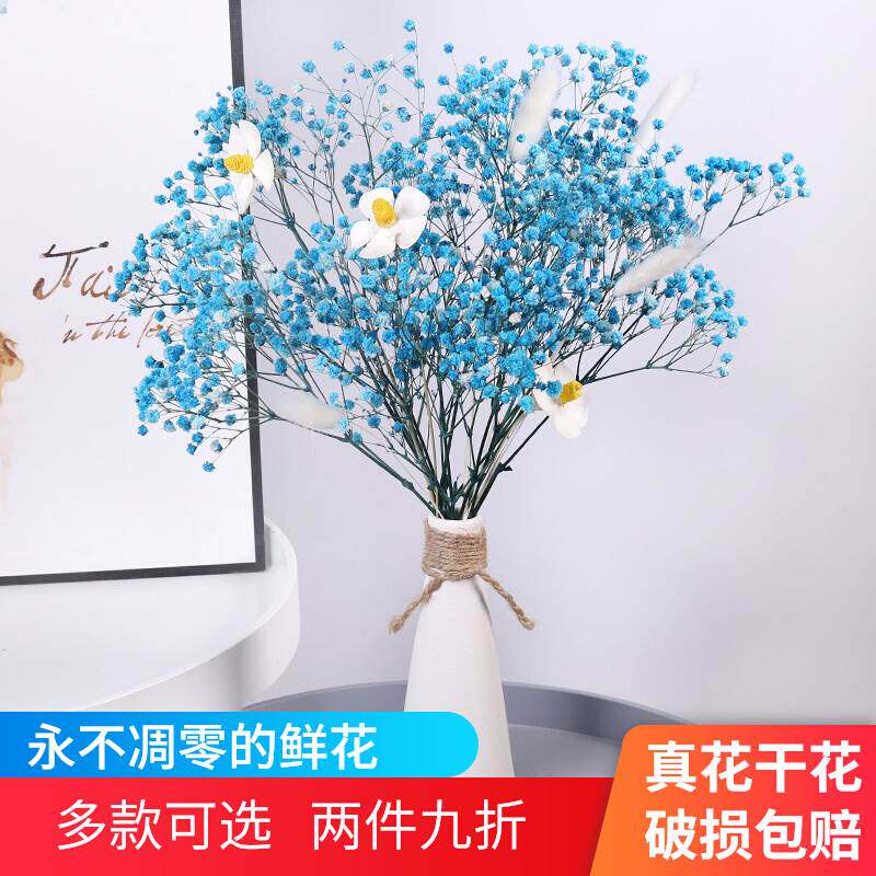 云南满天星干花 花束真花家居小清新装饰摆件满天星鲜花自然风干