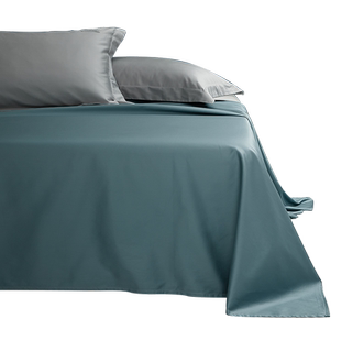 ROLAND LIVE100棉春秋季全棉贡缎床单单件纯棉单人双人床罩床笠