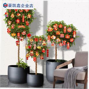 2026新年g装饰马年元旦喜庆贺年树枝树干装饰挂件桃花银柳植物挂.