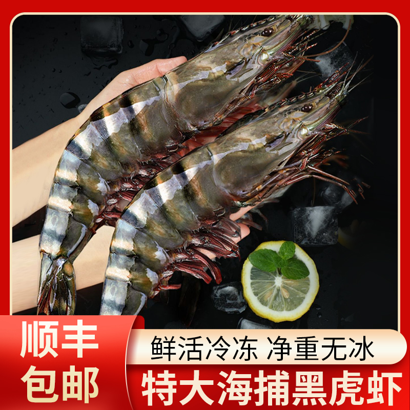 印度黑虎虾新鲜活大虾特大基围虾