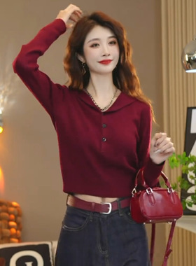 韩系拼色纽扣套头长袖针织连帽衫女2025年早秋穿搭高级感气质上衣