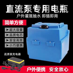 12v24V移动电瓶组合直流水泵农用浇菜抗旱高扬程潜水泵抽水机套餐