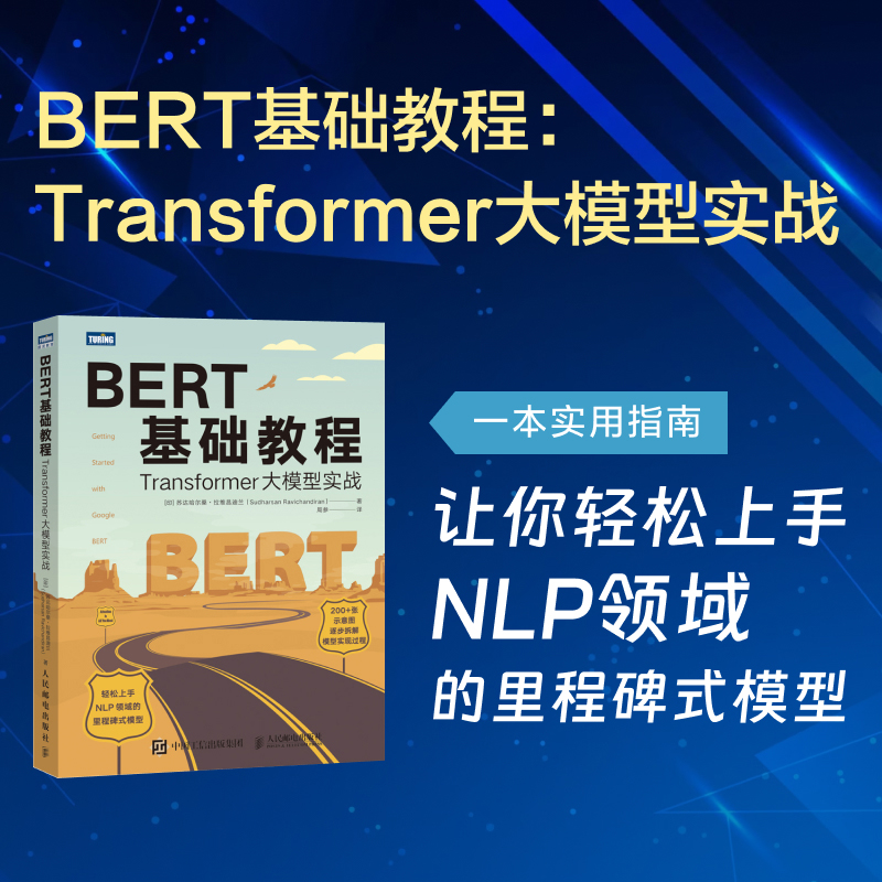【全新正版包邮】BERT基础教程：Transformer大模型实战