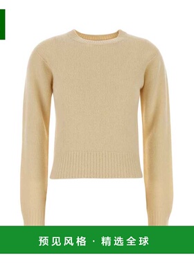 香港直邮A.P.C. 女士针织衫 WYAADF23453AAD SS2026 褐色 Cream w