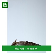 香港直邮GANNI 甘尼 1h可退 女士 Lace 芭蕾平底鞋 S3093