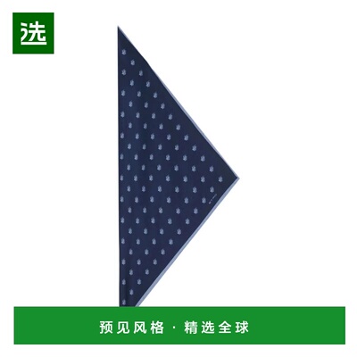 1h可退 香港直邮ETRO 男士领带 MAXA0005AKG99B0310 SS2026 蓝色