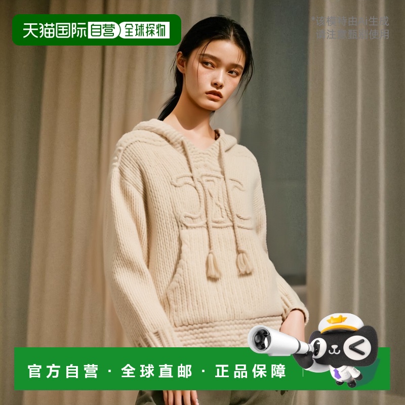 香港直邮Celine 长袖毛衣 2AD19703R.连帽卫衣
