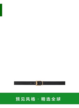 香港直邮Isabel Marant Ilirya 腰带 CE118BFAA4A04A针扣