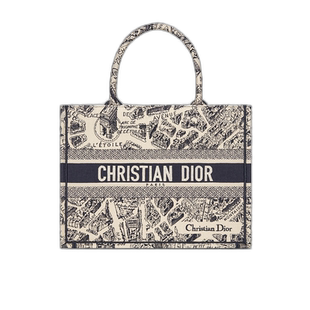 香港直邮Dior/迪奥女士时尚潮流百搭经典日常实用出勤户外手提包