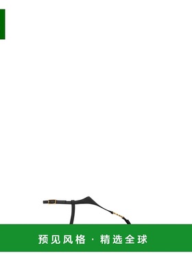 1h可退 香港直邮Saint Laurent CASSANDRA 平底凉鞋 841570AADF0