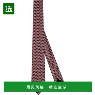 61C1047B6024 领带 香港直邮Dior Entrelac