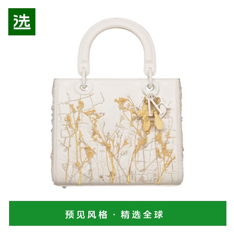 香港直邮Dior 中号Lady Dior手提包 M0565WQBHX