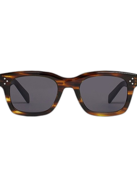 欧洲直邮CELINE/赛琳 23年新款 FRAME 41系列 男士烟灰色镜片条纹