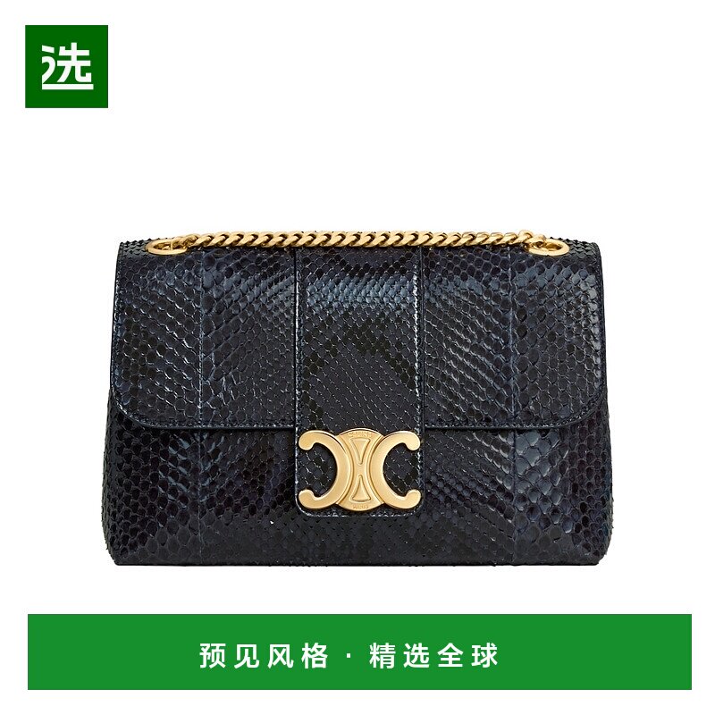 香港直邮Celine 中号 Victoire 单肩包 122524BVJ.
