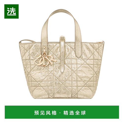1h可退 香港直邮Dior 小号 Dior Toujours 垂直托特包 M2835OPWD