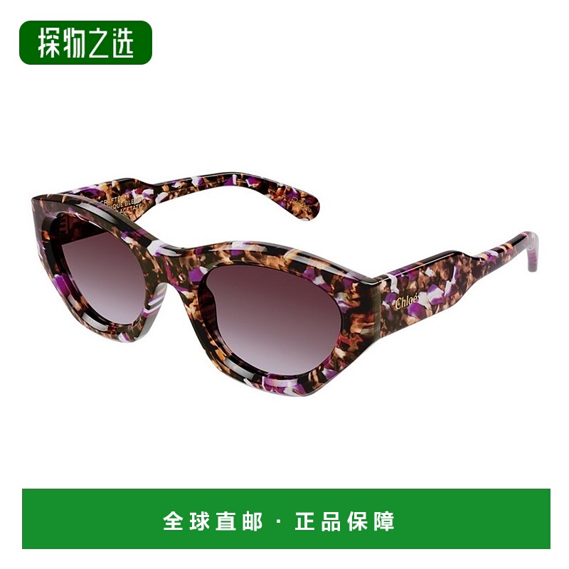 1h可退 香港直邮Chloe 蔻依 女士 几何框架太阳镜 CH0220S