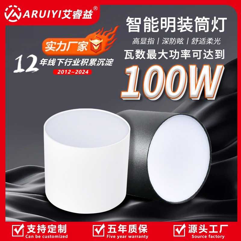led明装筒灯 大功率射灯100W80W高铁机场COB免开孔吸顶式筒射灯