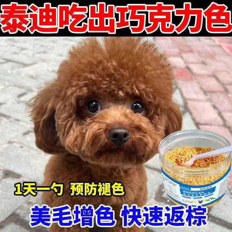 泰迪美毛增色红棕色泰迪狗毛色变浅发白卵磷脂营养维生素增色美毛