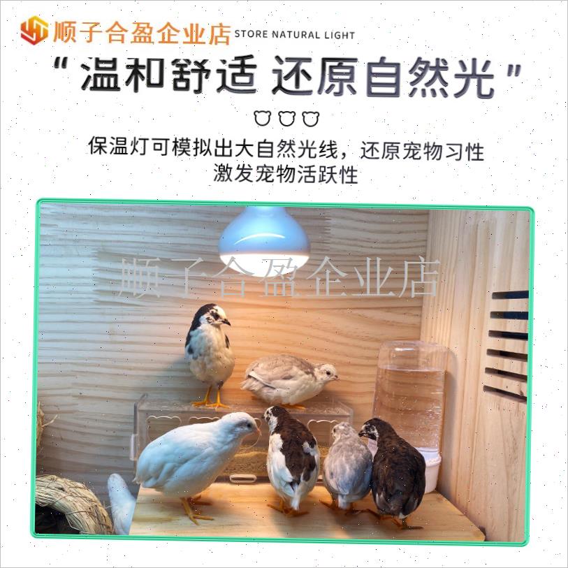 芦丁鸡保温灯取暖加热宠物养殖专用F太阳灯小鸡加热自动恒温照明.
