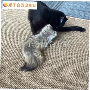 这么 么大猫咪丰容超大郊狼尾真C毛大尾巴可抱踢猫玩具自嗨解闷.