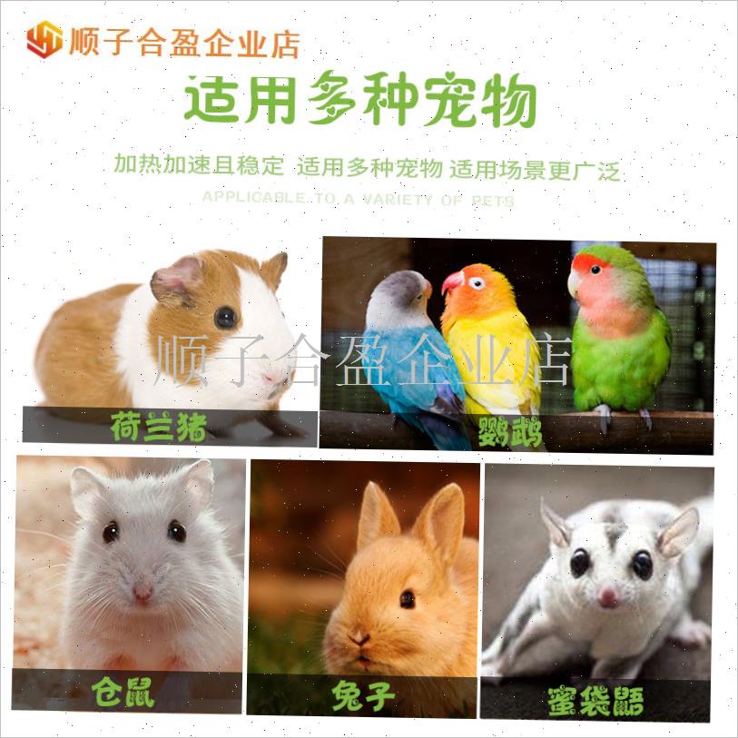 鹦鹉爬宠龙猫宠物芦丁鸡猫狗兔子陶瓷保温灯龟箱U蜜袋鼯取暖加热.