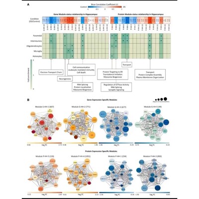 生信流程 转录组自动化分析流程 差异基因表达分析 持续更新