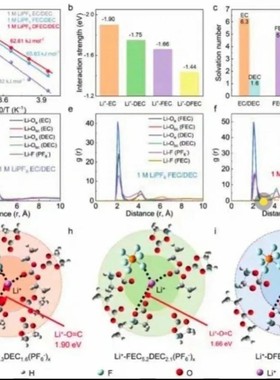 分子动力学模拟计算可视化密度泛函理论虚拟筛选药物设计多肽对接