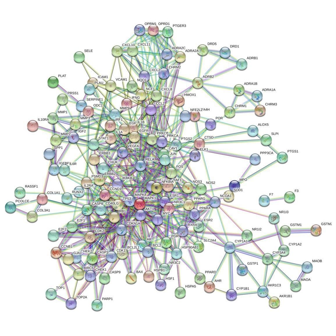 网络理学/单味/复方/GO/KEGG/韦恩图作图